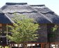 Dzibanana Lodge & Camping