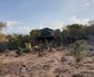 Magaliesberg Mountain Safari Tents