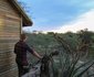 Hoedspruit Endangered Species 