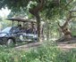 Hoedspruit Endangered Species 