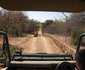 Hoedspruit Endangered Species 