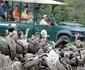 Hoedspruit Endangered Species 