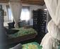 SIDLEKE SELUSOTI Proudly African Accommodation