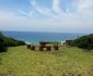 Whale Tails Beach Villa