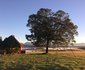 Blomberg Guest Farm