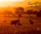 Sandstone Valley