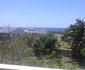 Moana St Mike's 