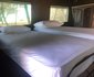 Sibani Urban Safaris