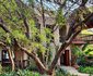 Winchado Guesthouse