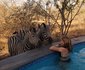 Uchawi wa Afrika