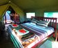 Thorn Tree Bush Camp - Accommodation