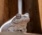The Silk Road Lodge