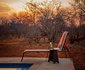 The Silk Road Lodge