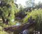 Aqua View Riverside Guest House