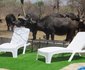 Chill-'n-Biki Lodge Mabalingwe