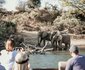 Zambezi Grande