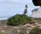Shelleypoint Holiday House