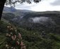 Misty Peaks