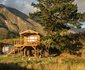 The Hermitage Valley Treehouse