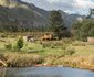 The Hermitage Valley Treehouse