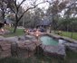 Mahathi Bush Lodge