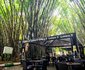 Green Legacy Resort