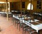 Primate Lodge