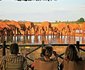 Voi Wildlife Lodge