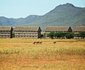 Voi Wildlife Lodge