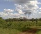 Rhino River Camp