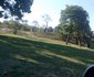 Great Zimbabwe Family Lodges