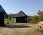 Great Zimbabwe Family Lodges