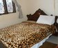 Pappaya Lodge
