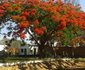 Sheila's Lodge