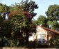 Muringa House