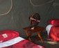 Chura Bush Camp