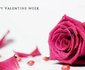 Signatious Hotels & Suites Warri