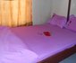 Mfaume Hasia Guest House