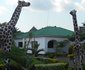 Itunge Lodge & Campsite