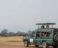 Kirawira Serena Camp