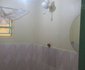 Lizlo Hotel