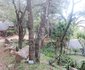 Catsiba Lodge