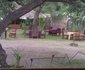 Villa Tafika Lodge