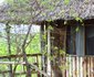 Ndovu Lodges And Camps