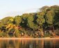Ssese Islands Beach Hotel