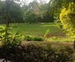 Kigwa Guest Cabins