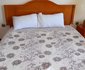 Tolahun Tolossa Guest House