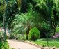 Mwafika Garden Lodge
