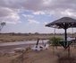 Umoja Camp Site