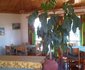 Kibo Slopes Cottages
